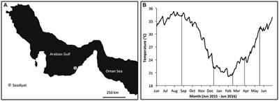 Environmental Extremes Are Associated with Dietary Patterns in Arabian Gulf Reef Fishes